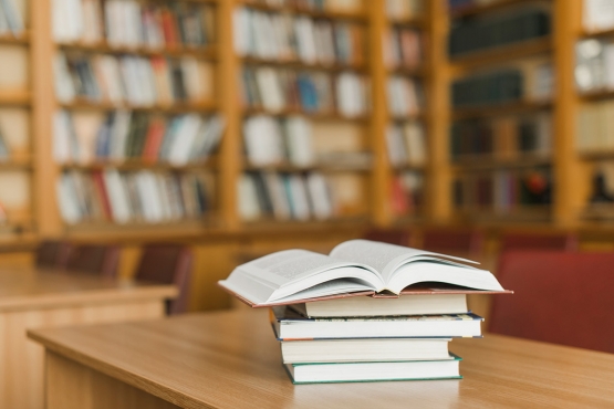 A partir de agora, escolas públicas poderão escolher as obras literárias que receberão