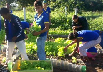 Projeto Educando com a Horta Escolar recebe inscrições