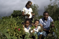 FNDE participará de ciclo de palestras da USP sobre alimentação escolar e agricultura familiar