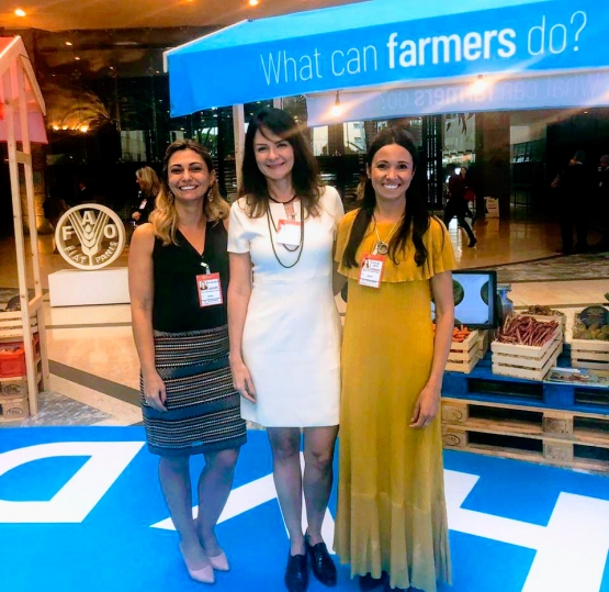 Representantes do MEC e FNDE participam de Comitê de Segurança Alimentar Mundial da FAO, em Roma