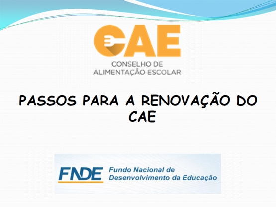 Passos para a renovação do CAE