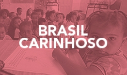 Banner do Programa Brasil Carinhoso