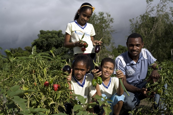 FNDE lança concurso para premiar boas práticas de agricultura familiar
