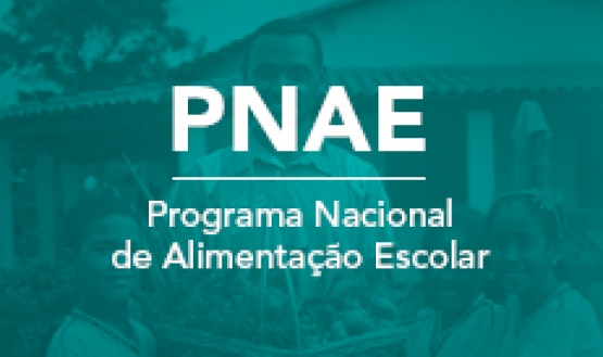 Programa Nacional de Alimentação Escolar (PNAE)