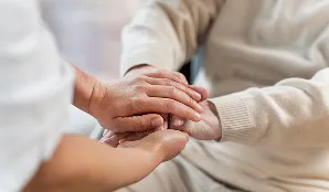 Visualizar Programas